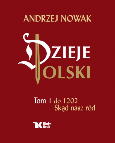 DZIEJE POLSKI 1.png