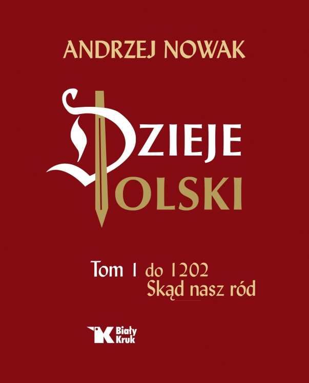 DZIEJE POLSKI 1.png